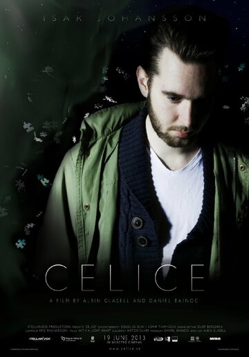 Celice (2013)