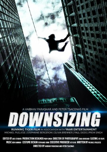 Downsizing (2014)