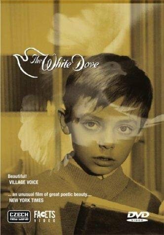The White Dove (1920)